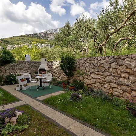 Apartments Villa Katarina Tučepi エクステリア 写真